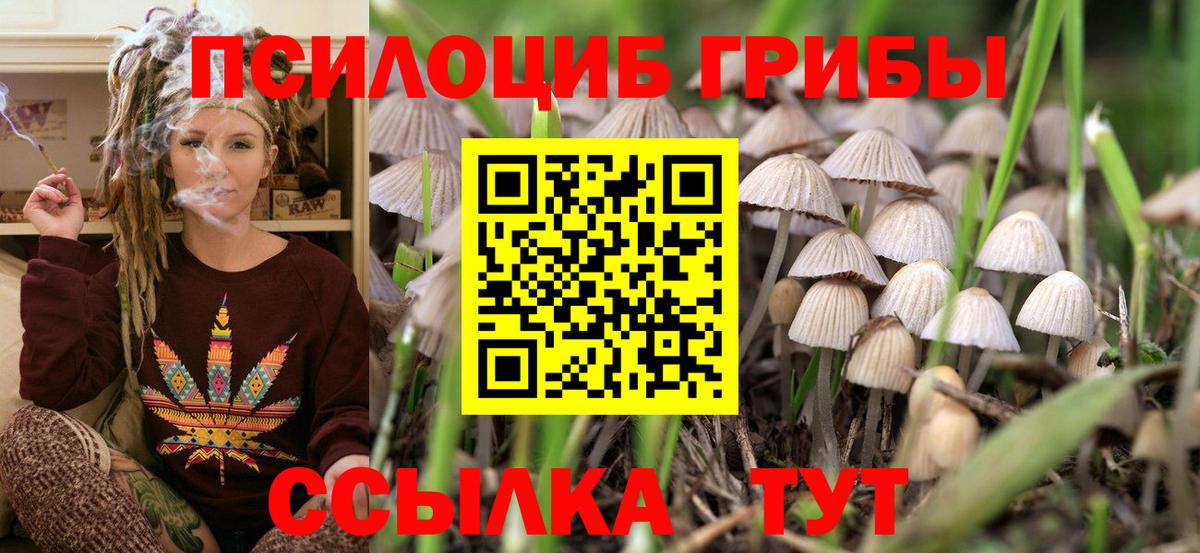 Феодосия  Псилоцибиновые грибы Psilocybe  Вход с VPN  Псилоцибиновые грибы прущие грибы 